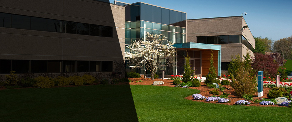 Cambridge Landscapers