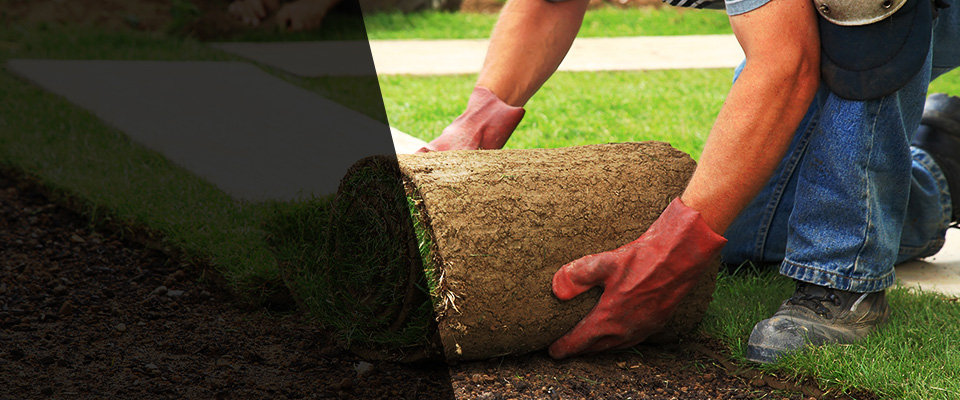 Cambridge Landscapers